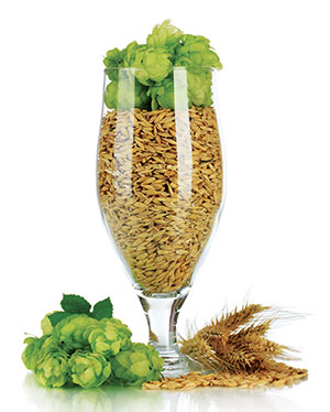 verre de houblon